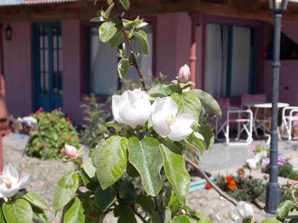 Posada Caracoles Puerto Piramides Luaran gambar