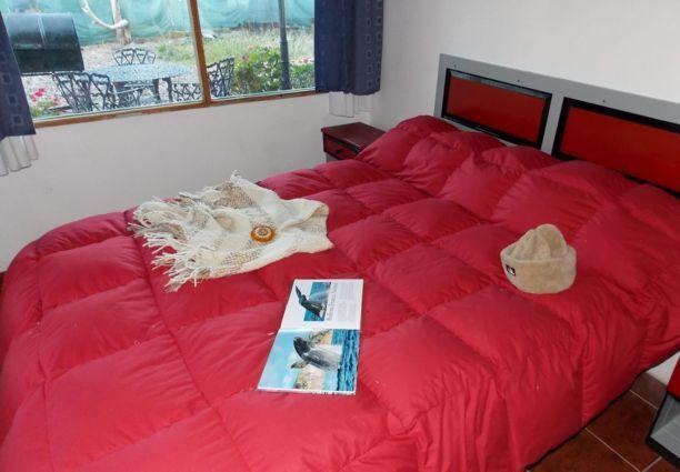 Posada Caracoles Puerto Piramides Bilik gambar